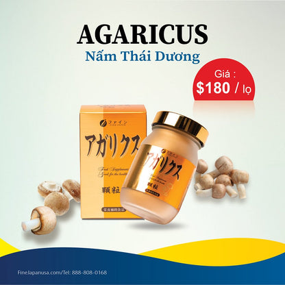 FINE AGARICUS -  (Buy 2 Get 1 Free)