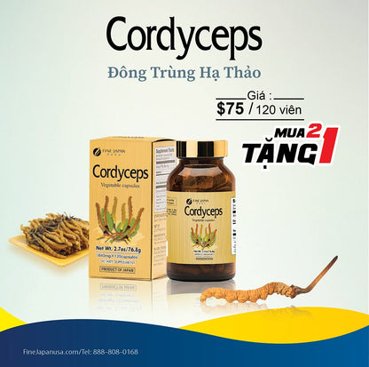 CORDYCEPS CAPSULES - (Buy 2 Get 1 Free)